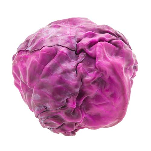 Rotkohl